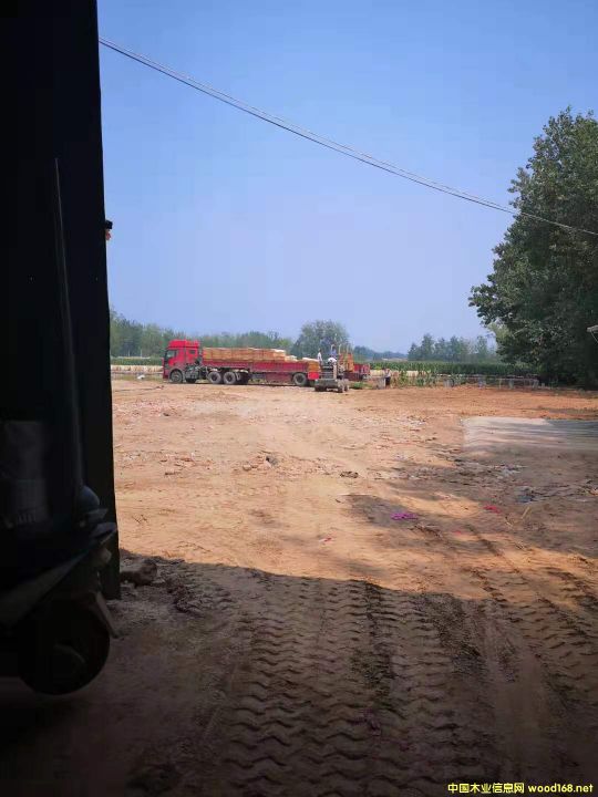 ľȼƤ