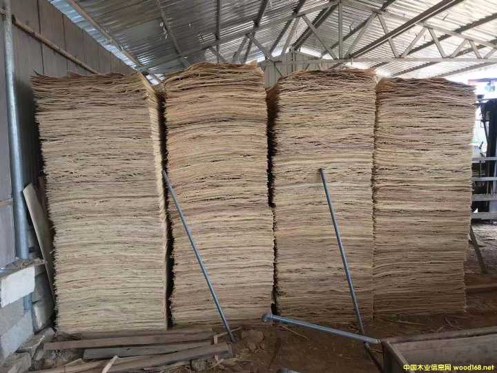 板的詳細介紹