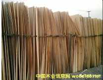 的詳細(xì)介紹