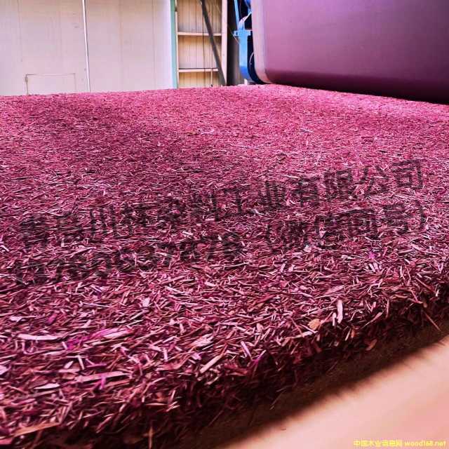 的詳細介紹