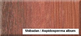 ShibadanԔ(x)B