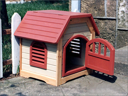 ؈ CAT HOUSEԔ(x)B